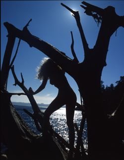 Girls in the Trees - Limited Edition Photographic Art by Christopher Strong